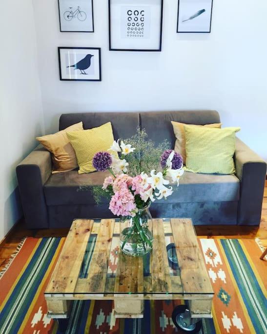 Vintage Apartment Rovinj Old Town מראה חיצוני תמונה